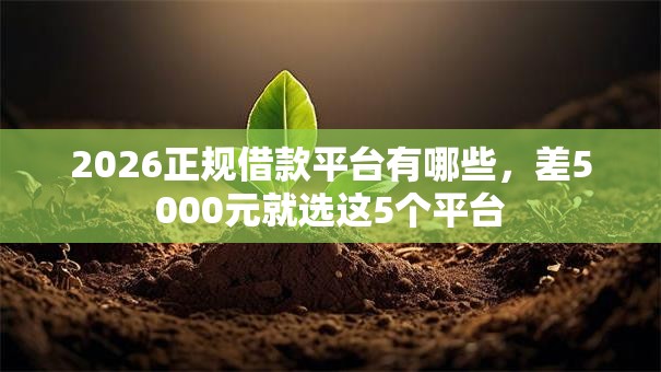 2026正规借款平台有哪些，差5000元就选这5个平台