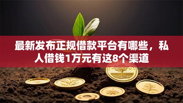 最新发布正规借款平台有哪些，私人借钱1万元有这8个渠道