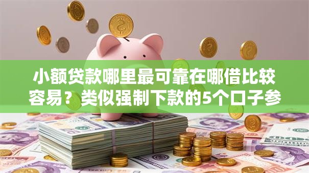 小额贷款哪里最可靠在哪借比较容易？类似强制下款的5个口子参考