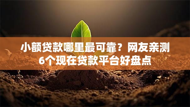 小额贷款哪里最可靠？网友亲测6个现在贷款平台好盘点