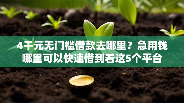 4千元无门槛借款去哪里？急用钱哪里可以快速借到看这5个平台
