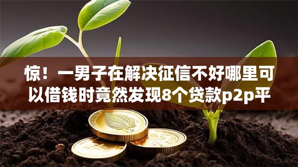 惊！一男子在解决征信不好哪里可以借钱时竟然发现8个贷款p2p平台，事后分享了出来