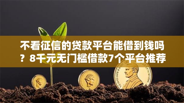 不看征信的贷款平台能借到钱吗？8千元无门槛借款7个平台推荐