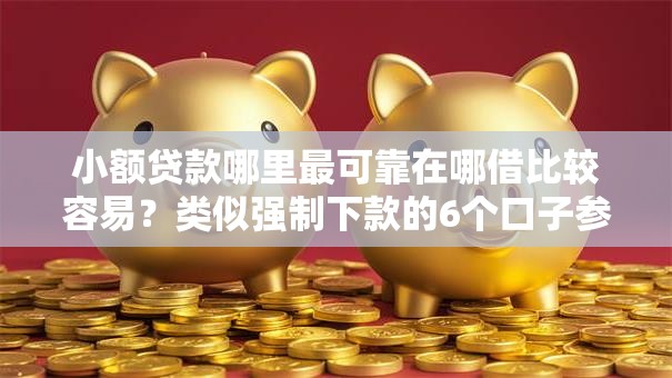 小额贷款哪里最可靠在哪借比较容易？类似强制下款的6个口子参考