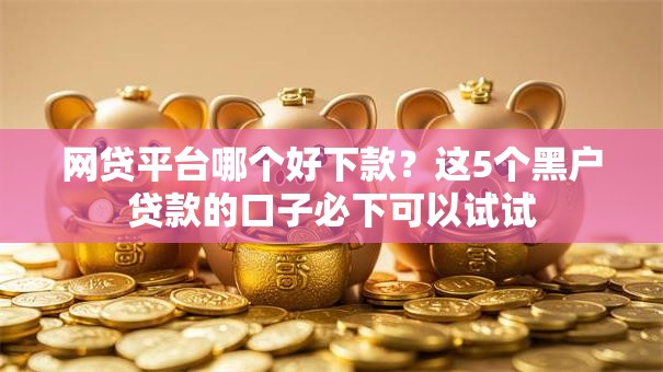 网贷平台哪个好下款？这5个黑户贷款的口子必下可以试试