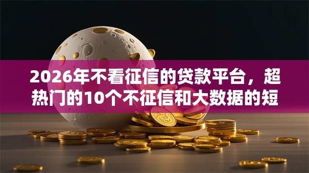 2026年不看征信的贷款平台，超热门的10个不征信和大数据的短期网贷适合58岁的平台推荐