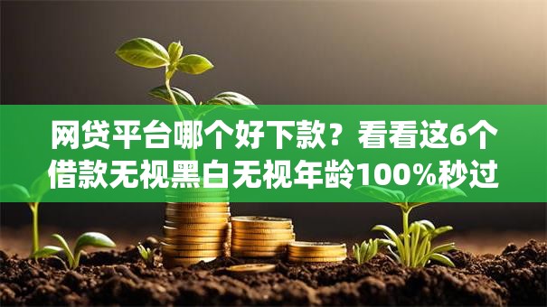 网贷平台哪个好下款？看看这6个借款无视黑白无视年龄100%秒过app怎么样