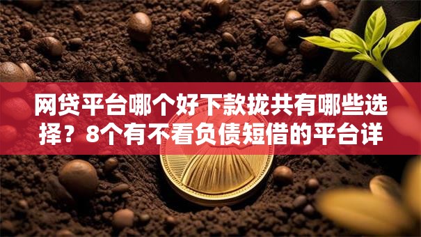 网贷平台哪个好下款拢共有哪些选择？8个有不看负债短借的平台详解