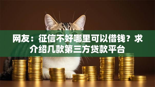 网友：征信不好哪里可以借钱？求介绍几款第三方贷款平台