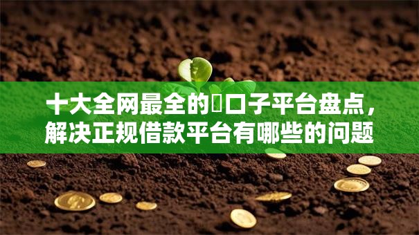 十大全网最全的黒口子平台盘点，解决正规借款平台有哪些的问题