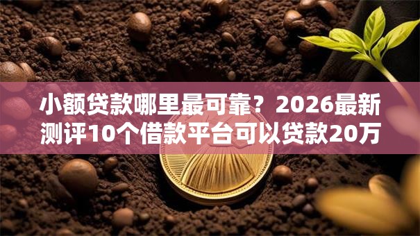 小额贷款哪里最可靠？2026最新测评10个借款平台可以贷款20万
