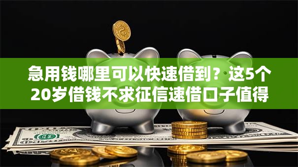 急用钱哪里可以快速借到？这5个20岁借钱不求征信速借口子值得一试