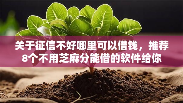 关于征信不好哪里可以借钱，推荐8个不用芝麻分能借的软件给你