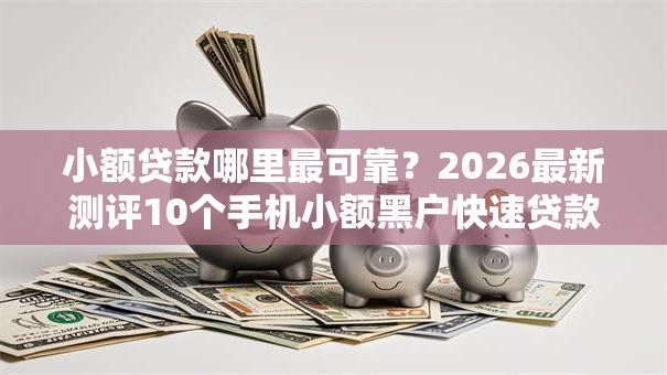 小额贷款哪里最可靠？2026最新测评10个手机小额黑户快速贷款平台