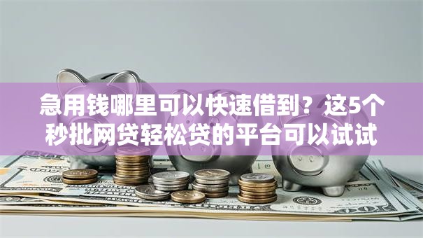 急用钱哪里可以快速借到？这5个秒批网贷轻松贷的平台可以试试