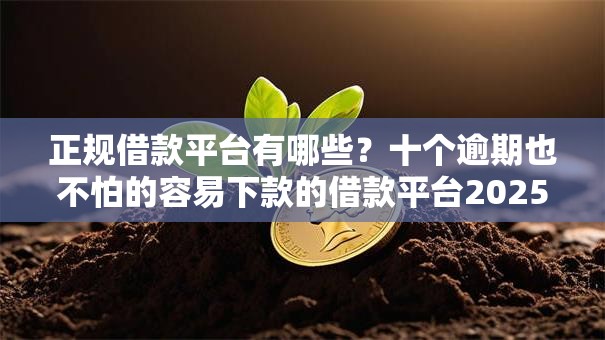 正规借款平台有哪些？十个逾期也不怕的容易下款的借款平台2025