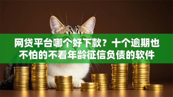 网贷平台哪个好下款？十个逾期也不怕的不看年龄征信负债的软件