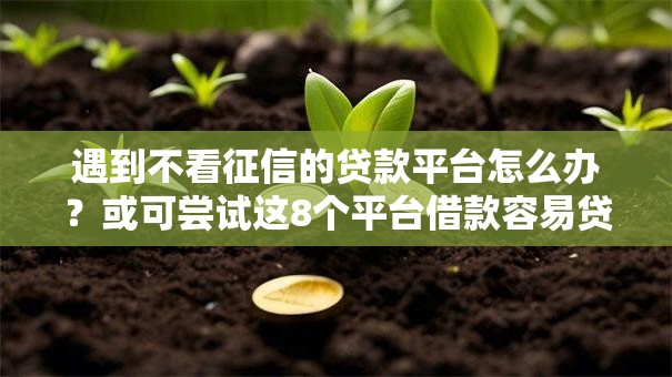 遇到不看征信的贷款平台怎么办？或可尝试这8个平台借款容易贷款
