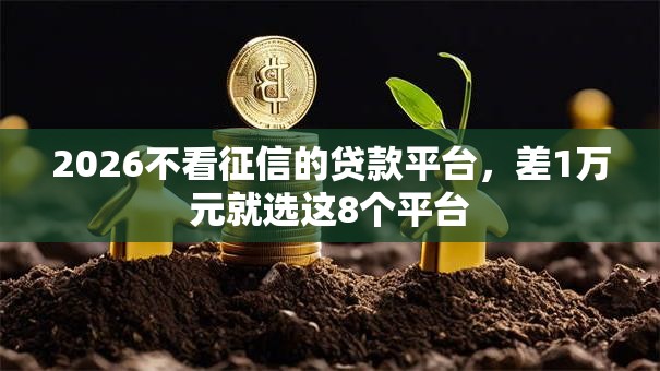 2026不看征信的贷款平台,差1万元就选这8个平台 2026不看征信的贷款平台,差1万元就选这8个平台