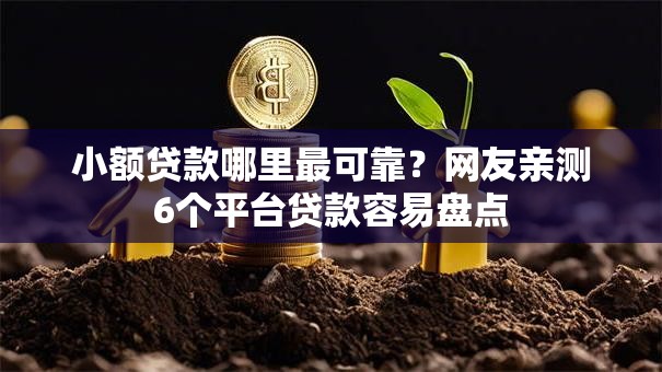 小额贷款哪里最可靠？网友亲测6个平台贷款容易盘点