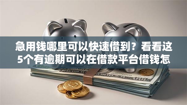急用钱哪里可以快速借到？看看这5个有逾期可以在借款平台借钱怎么样