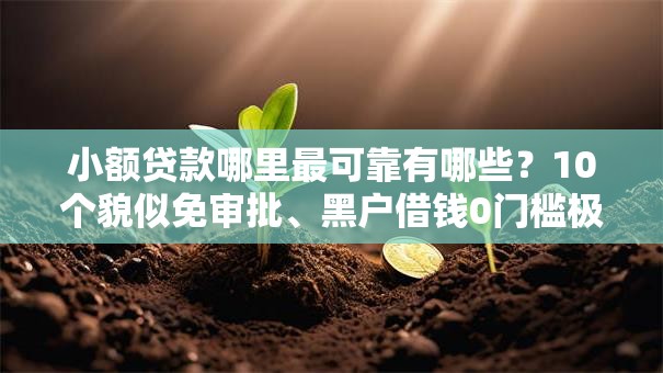 小额贷款哪里最可靠有哪些？10个貌似免审批、黑户借钱0门槛极速下款平台合集