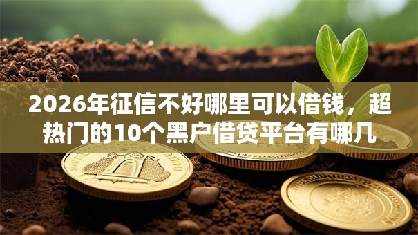 2026年征信不好哪里可以借钱,超热门的10个黑户借贷平台有哪几家推荐 2026年征信不好哪里可以借钱,超热门的10个黑户借贷平台有哪几家推荐