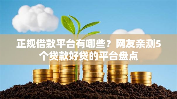 正规借款平台有哪些？网友亲测5个贷款好贷的平台盘点