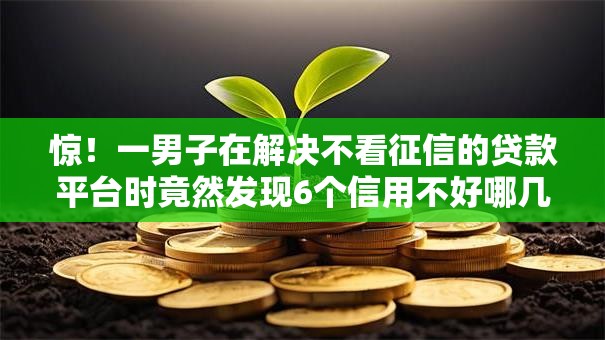 惊！一男子在解决不看征信的贷款平台时竟然发现6个信用不好哪几个平台可以借钱，事后分享了出来