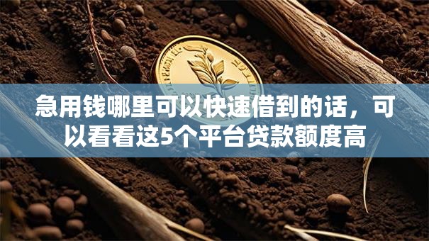 急用钱哪里可以快速借到的话，可以看看这5个平台贷款额度高