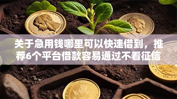 关于急用钱哪里可以快速借到,推荐6个平台借款容易通过不看征信的给你 关于急用钱哪里可以快速借到,推荐6个平台借款容易通过不看征信的给你