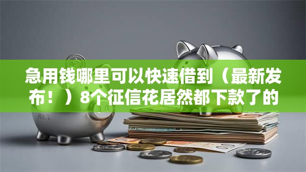 急用钱哪里可以快速借到（最新发布！）8个征信花居然都下款了的软件