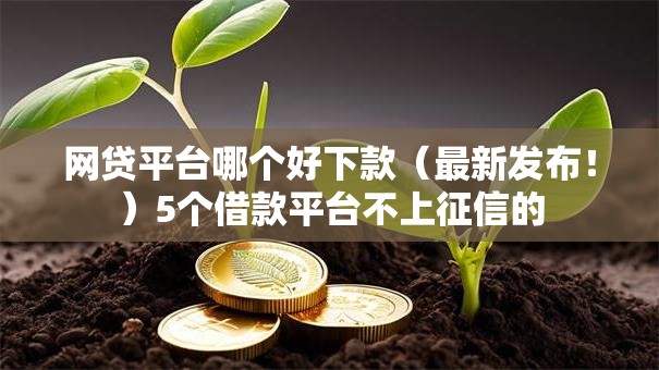 网贷平台哪个好下款（最新发布！）5个借款平台不上征信的