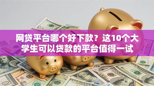 网贷平台哪个好下款？这10个大学生可以贷款的平台值得一试