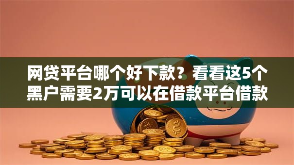 网贷平台哪个好下款？看看这5个黑户需要2万可以在借款平台借款怎么样