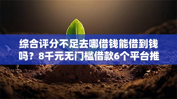 综合评分不足去哪借钱能借到钱吗？8千元无门槛借款6个平台推荐