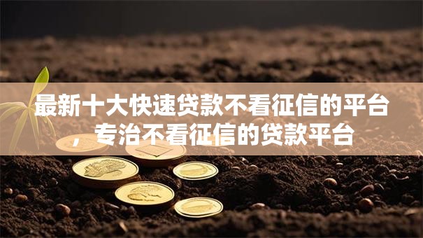 最新十大快速贷款不看征信的平台，专治不看征信的贷款平台