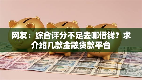网友：综合评分不足去哪借钱？求介绍几款金融贷款平台