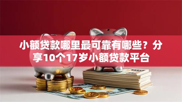 小额贷款哪里最可靠有哪些？分享10个17岁小额贷款平台