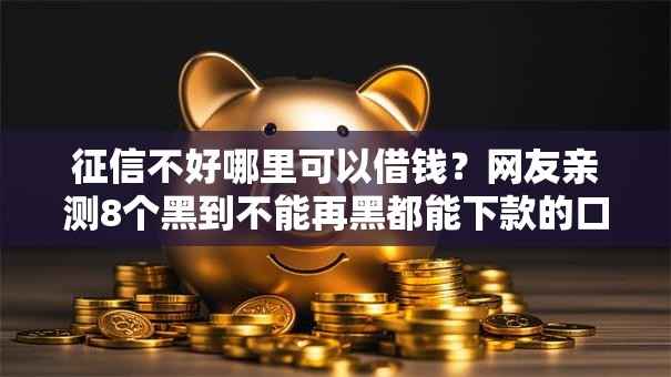 征信不好哪里可以借钱？网友亲测8个黑到不能再黑都能下款的口子盘点