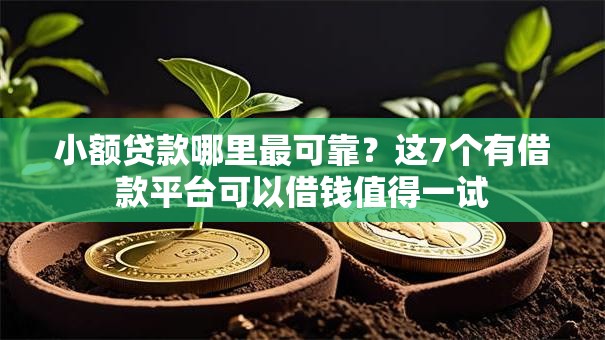 小额贷款哪里最可靠?这7个有借款平台可以借钱值得一试 小额贷款哪里最可靠?这7个有借款平台可以借钱值得一试