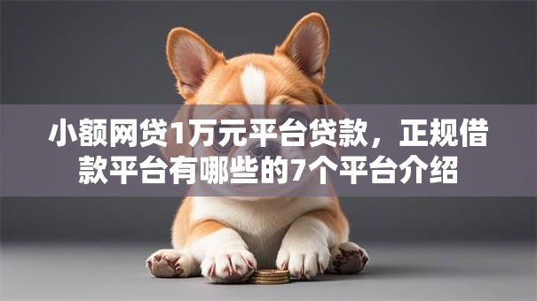 小额网贷1万元平台贷款，正规借款平台有哪些的7个平台介绍