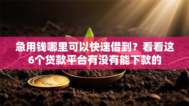 急用钱哪里可以快速借到?看看这6个贷款平台有没有能下款的 急用钱哪里可以快速借到?看看这6个贷款平台有没有能下款的