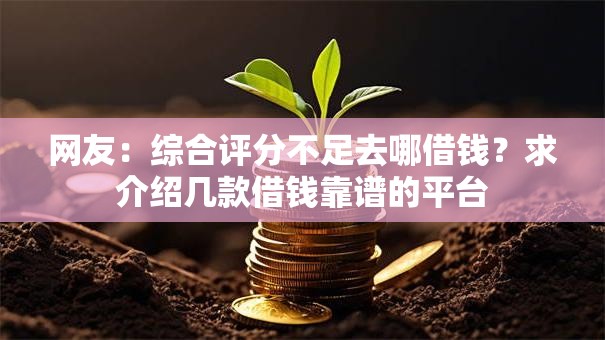 网友：综合评分不足去哪借钱？求介绍几款借钱靠谱的平台