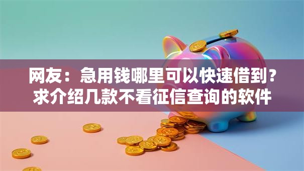网友：急用钱哪里可以快速借到？求介绍几款不看征信查询的软件