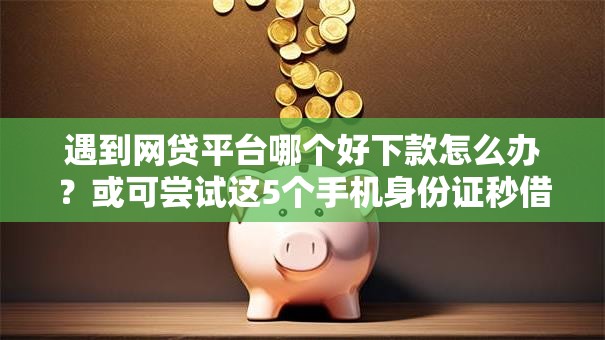 遇到网贷平台哪个好下款怎么办？或可尝试这5个手机身份证秒借现金的口子