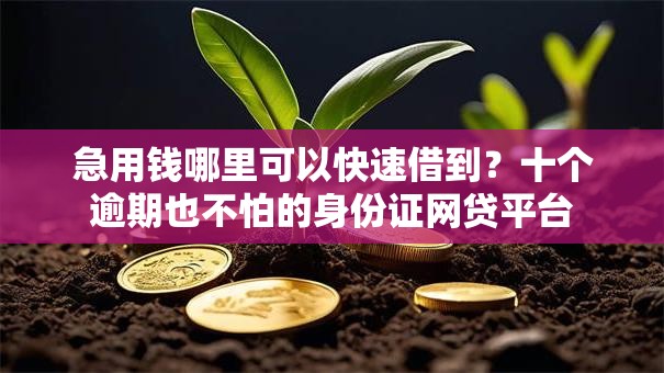 急用钱哪里可以快速借到？十个逾期也不怕的身份证网贷平台