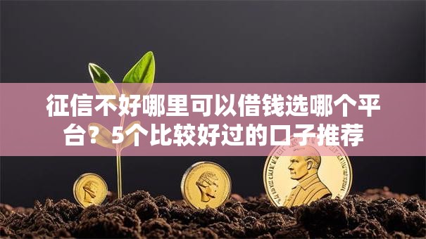 征信不好哪里可以借钱选哪个平台？5个比较好过的口子推荐