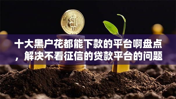 十大黑户花都能下款的平台啊盘点，解决不看征信的贷款平台的问题