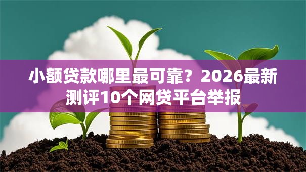 小额贷款哪里最可靠？2026最新测评10个网贷平台举报